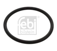 FEBI BILSTEIN 17966 Guarnizione, Termostato per AUDI,MITSUBISHI,SEAT,SKODA,VW