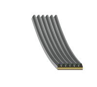 FEBI BILSTEIN 179843 Cinghia servizi