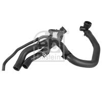 FEBI BILSTEIN 179893 Flessibile radiatore per AUDI,SEAT,SKODA,VW