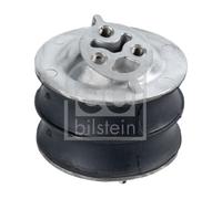 FEBI BILSTEIN 18065 Sospensione, Motore per SCANIA