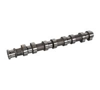 FEBI BILSTEIN 180725 Albero a camme