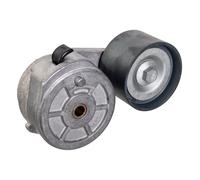 FEBI BILSTEIN 180981 Tenditore cinghia servizi