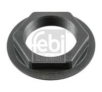 FEBI BILSTEIN 181119 Dado, fusello per RENAULT TRUCKS,VOLVO