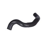 FEBI BILSTEIN 181184 Flessibile radiatore