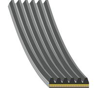 FEBI BILSTEIN 181287 Cinghia servizi