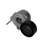 FEBI BILSTEIN 181314 Tenditore cinghia servizi