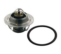 Febi-Bilstein 18274 - Termostato, Refrigerante