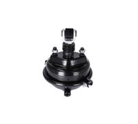 Cilindro Membrana Per Assi Bergische