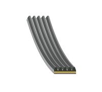 FEBI BILSTEIN 183299 Cinghia servizi