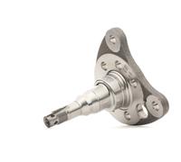 Fusello Corpo Assiale Febi Bilstein 18352 per Seat VW
