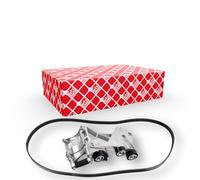FEBI BILSTEIN 183549 Kit Cinghie Poly-V