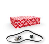 FEBI BILSTEIN 183560 Kit Cinghie Poly-V