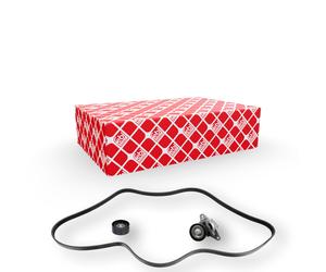 FEBI BILSTEIN 183565 Kit Cinghie Poly-V