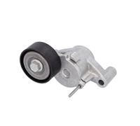 FEBI BILSTEIN 184025 Tenditore cinghia servizi