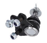 Febi 184264 Braccio Strutturale Frontale per Lexus NX II Subaru Solterra Toyota