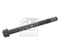 FEBI BILSTEIN 18476 Bullone testata per DAF