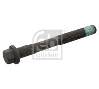 FEBI BILSTEIN 18477 Bullone testata per DAF