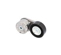 FEBI BILSTEIN 184900 Tenditore cinghia servizi