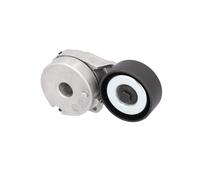 FEBI BILSTEIN 185480 Tenditore cinghia servizi