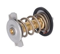 FEBI BILSTEIN 185598 Termostato motore