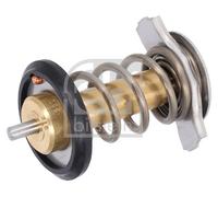FEBI BILSTEIN 185598 Termostato, refrigerante per FIAT