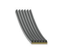 FEBI BILSTEIN 185912 Cinghia servizi