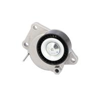 FEBI BILSTEIN 186616 Tenditore cinghia servizi