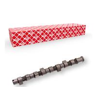 FEBI BILSTEIN 18809 Albero a camme