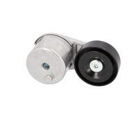 FEBI BILSTEIN 188325 Tenditore cinghia servizi