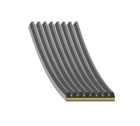 FEBI BILSTEIN 188462 Cinghia servizi