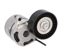 FEBI BILSTEIN 188553 Tenditore cinghia servizi