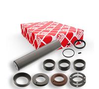 FEBI BILSTEIN 19173 Kit riparazione, Perno fuso a snodo
