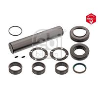 FEBI BILSTEIN 19174 Kit riparazione, Perno fuso a snodo