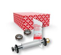 Febi-Bilstein 19244 - Kit Riparazione, Braccio Oscillante
