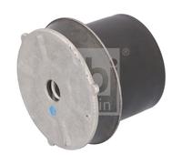 FEBI BILSTEIN 192754 SUPPORTO, CORPO ASSIALE
