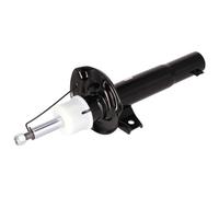 FEBI BILSTEIN 193134 2x Ammortizzatore Anteriore Dx Anteriore Sx A pressione del gas Ammortizzatori