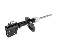 FEBI BILSTEIN 193478 Ammortizzatore per FIAT