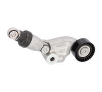 FEBI BILSTEIN 193649 Tenditore cinghia servizi