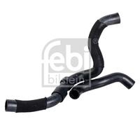 FEBI BILSTEIN 193733 Flessibile radiatore per AUDI,SEAT,SKODA,VW