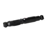 FEBI BILSTEIN 194216 2x Ammortizzatore Posteriore Dx Posteriore Sx Pressione olio Ammortizzatori