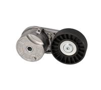 FEBI BILSTEIN 194621 Tenditore cinghia servizi