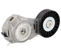 FEBI BILSTEIN 19484 Tendicinghia, Cinghia Poly-V per SAAB