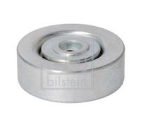 Febi BILSTEIN 21300 Deviazione/Puleggia, Cinghia Scanalata per BMW, Land Rover