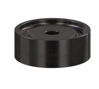 FEBI BILSTEIN 21301 Galoppino guidacinghia, cinghia Poly-V