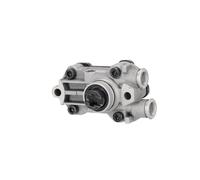 FEBI BILSTEIN 21672 Gruppo alimentazione carburante