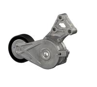 FEBI BILSTEIN 21746 Tenditore cinghia servizi per VW Golf IV Hatchback (1J1)