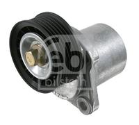 FEBI BILSTEIN 21771 Tendicinghia, Cinghia Poly-V per FORD,VOLVO