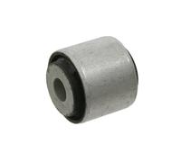FEBI BILSTEIN 21968 Supporto braccio oscillante Posteriore Sx, inferiore