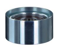FEBI BILSTEIN 22047 Rullo tenditore cinghia Poly-V