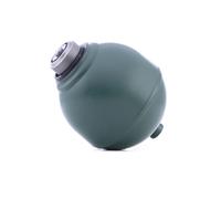 Sfera sospensione pneumatica Assale anteriore 22525 FEBI BILSTEIN per CITROËN